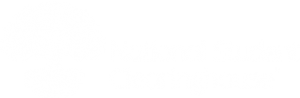 nsc-logo-w-tree